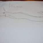 Hamo (Pike eel) drawing